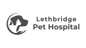 Lethbridge Pet Hospital